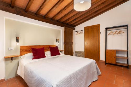 Agriturismo Bellosguardo - image 4