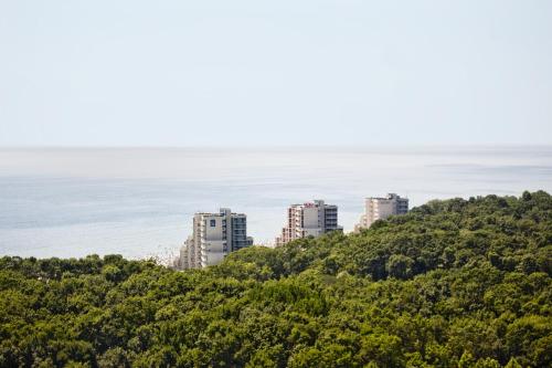 Hotel Boryana - image 12