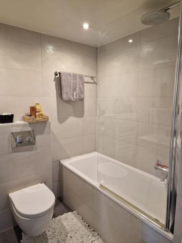 Appartement de standing au centre de Genève, Ginebra (foto 8)