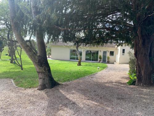 Sur les Routes du Débarquement - Chambre Quadruple - chambre d'hôte Amfréville