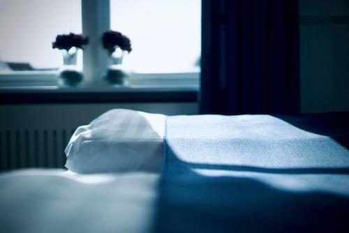 Hotel Plesner - image 7