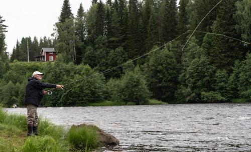 Cabin by Byske river surrounded by the forest