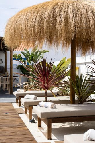 บริการและสิ่งอำนวยความสะดวก, Casa Idalia Boutique Hotel in คอมปอตา