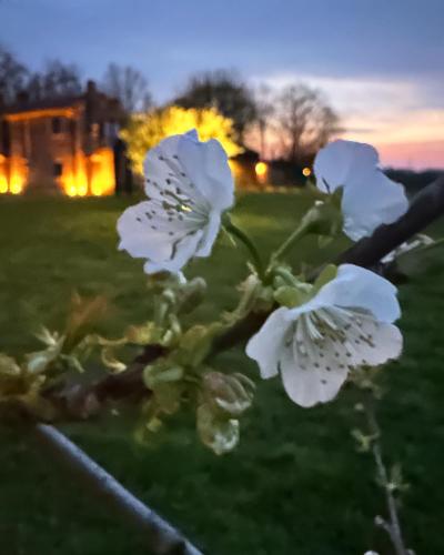 Casaforte La Bastide