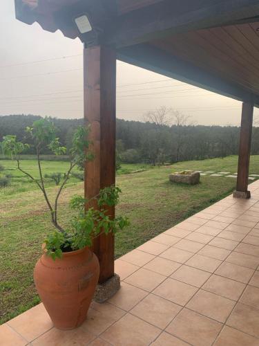 Apkārtne, Quinta dos Cedros l Turismo Rural in Monte Serrano