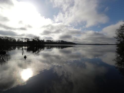 Exterior view, Swan Lake in Boyle