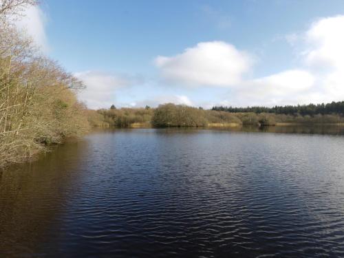 Exterior view, Swan Lake in Boyle