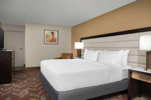 Holiday Inn Greensboro Airport an IHG Hotel - image 9