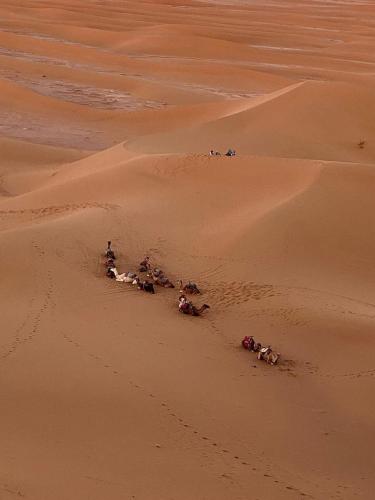 Mhamid Sahara Camp - Mhamid El Ghizlane