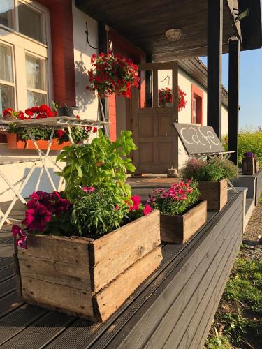 A szálláshely kívülről, Ontika Guesthouse in Ontika