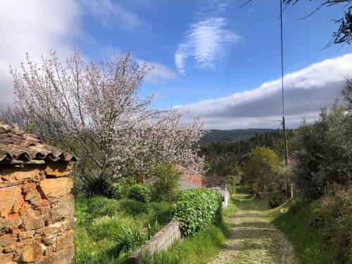 house of the three marias - Accommodation - Pedrógão Grande