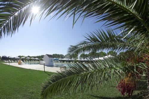 Fattoria Maremmana - image 7