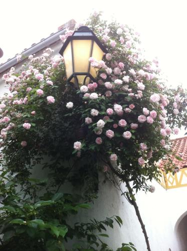  Patio das Flores, Pension in Ferreira do Alentejo bei Beja