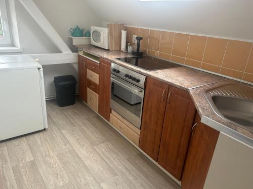 Apartmán Krkovička (Apartman Krkovicka) in Mikulasovice