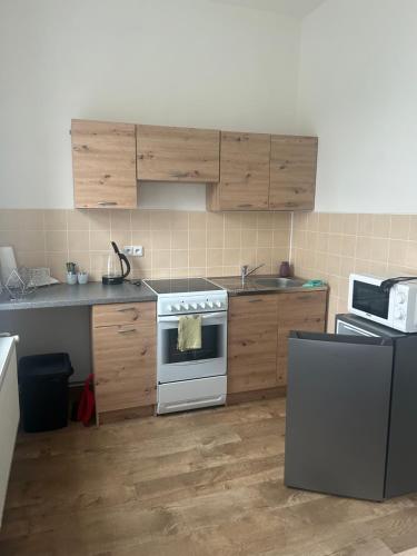 Apartmán Krkovička (Apartman Krkovicka) in Mikulasovice