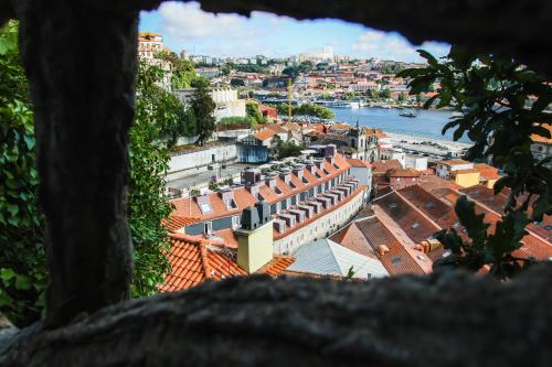 Timbre Virtudes, Oporto (foto 6)