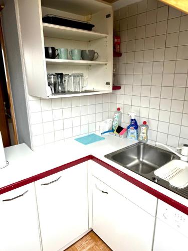 Großes Appartement Umgebung Frankfurt am Main Monteure geeignet