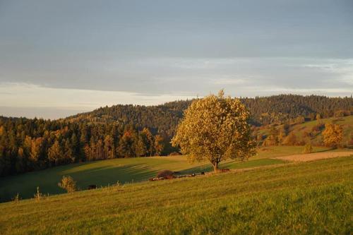 Między Wierchami