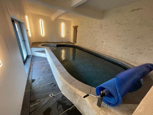 泳池, Gîte avec piscine intérieur, Le Repère de Choiseau (Gite avec piscine interieur, Le Repere de Choiseau) in 沙蘭拉波特里