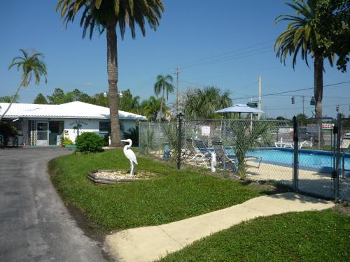 Palm Court Motel - 정원