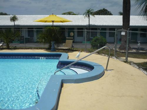 Palm Court Motel - 수영장