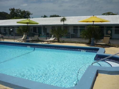 Palm Court Motel - 수영장