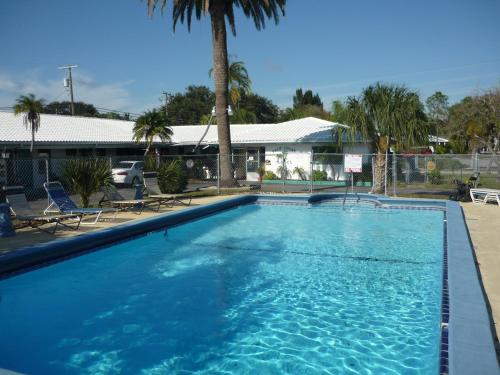 Palm Court Motel - 수영장