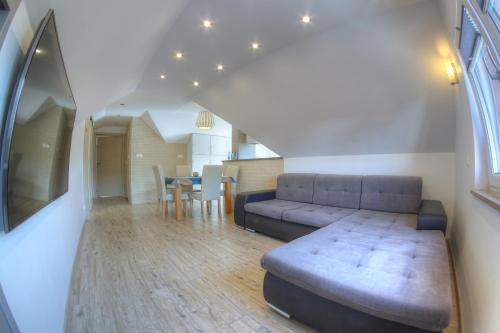 One-Bedroom Apartment image 7