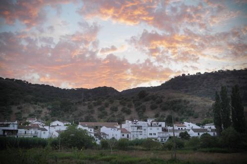 Finca La Rana Verde - image 13