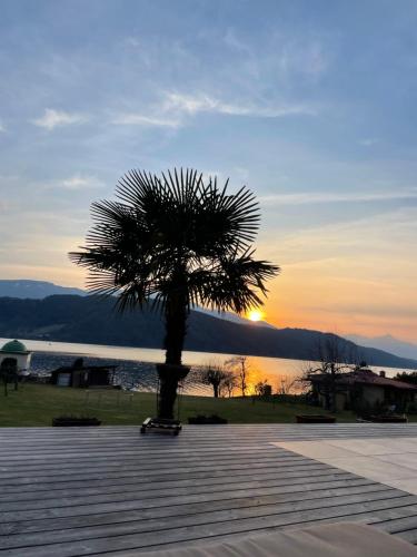 Ferienwohnungen Seerose direkt am See - image 11
