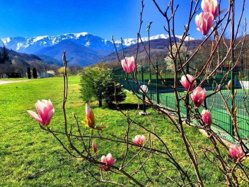 Вила и тенис комплекс ,,Синьото, Aprilzi (Foto 2)