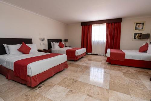 Hotel Ocean View Room Type - Family Suite