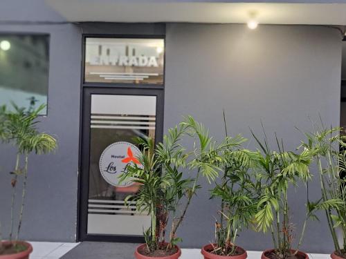 Hostal Los Lirios in โลคา