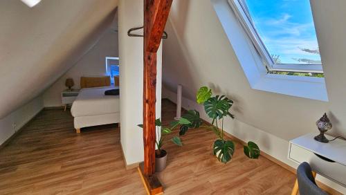 Modern 2.5 Bedroom Duplex Apartment near Messe, Airport, Arena, Düsseldorf (photo 4)