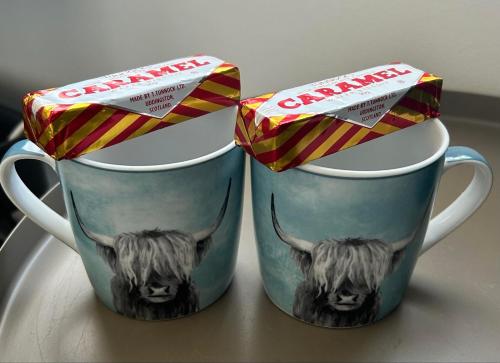 Nevis Rooms - Self check in with free onsite Parking in 威廉堡