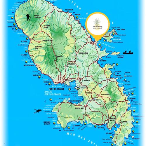 135_ananas_bdg - Location saisonnière - La Trinité