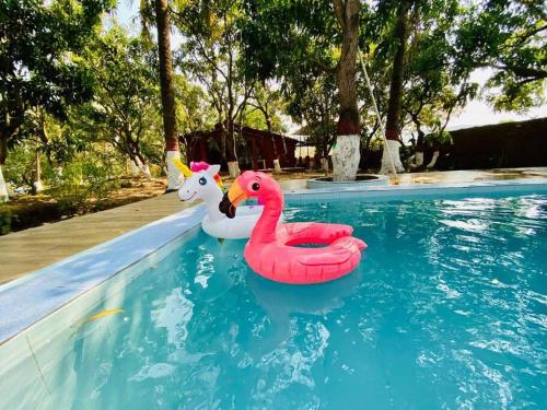 The Mango Woods Rustic Cottage with Bathtub in Alibag Farm Stay with Swimming Pool