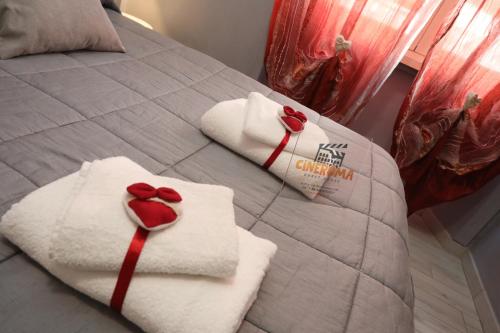 Cineroma Guesthouse - image 13
