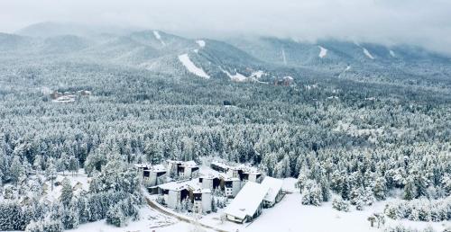 Forest nest - your place to rest!, Borovec