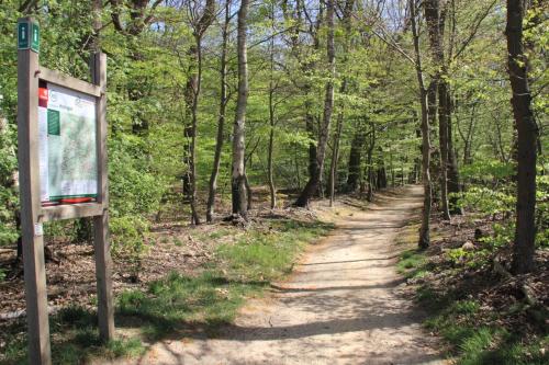 สภาพแวดล้อมโดยรอบ, Hotel Van der Maas in ออทมาร์ซุม แกร์น