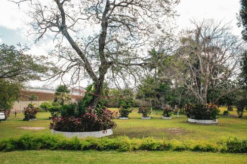 Finca Palma Real / Tradicional y Cultural en Yucatán in Umán, Mexico