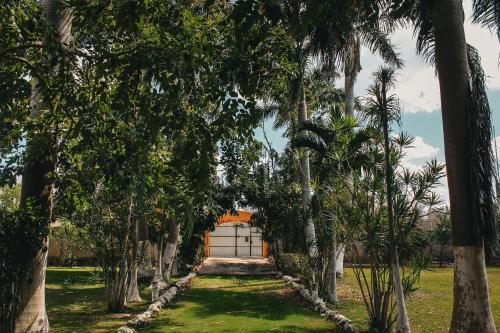 Finca Palma Real / Tradicional y Cultural en Yucatán in Umán, Mexico
