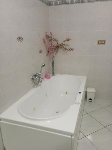 B&B I Tre Ulivi in Morro d'Oro