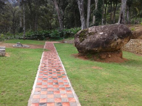 Neelakurunji Plantation Munnar