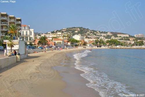 Sunrise & Sunset Palm Beach Croisette - 편의 시설/서비스
