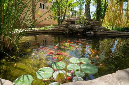 Hotel Molino Garden - image 4