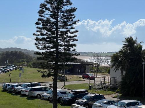 Dee Why Beach - Studio 29 Surfrider