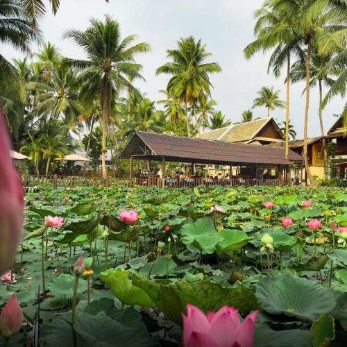 Villa Oasis – Luang Prabang, CT