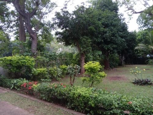 ES Holiday Bungalow Anuradhapura