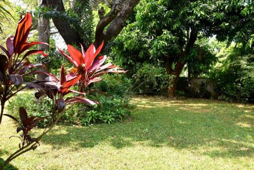 ES Holiday Bungalow Anuradhapura